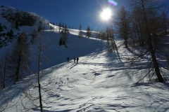 Gloecknerin_01