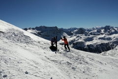 Gloecknerin_08